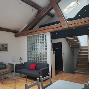 Loft Viarhona, Grand Loft En Centre-ville Lyon