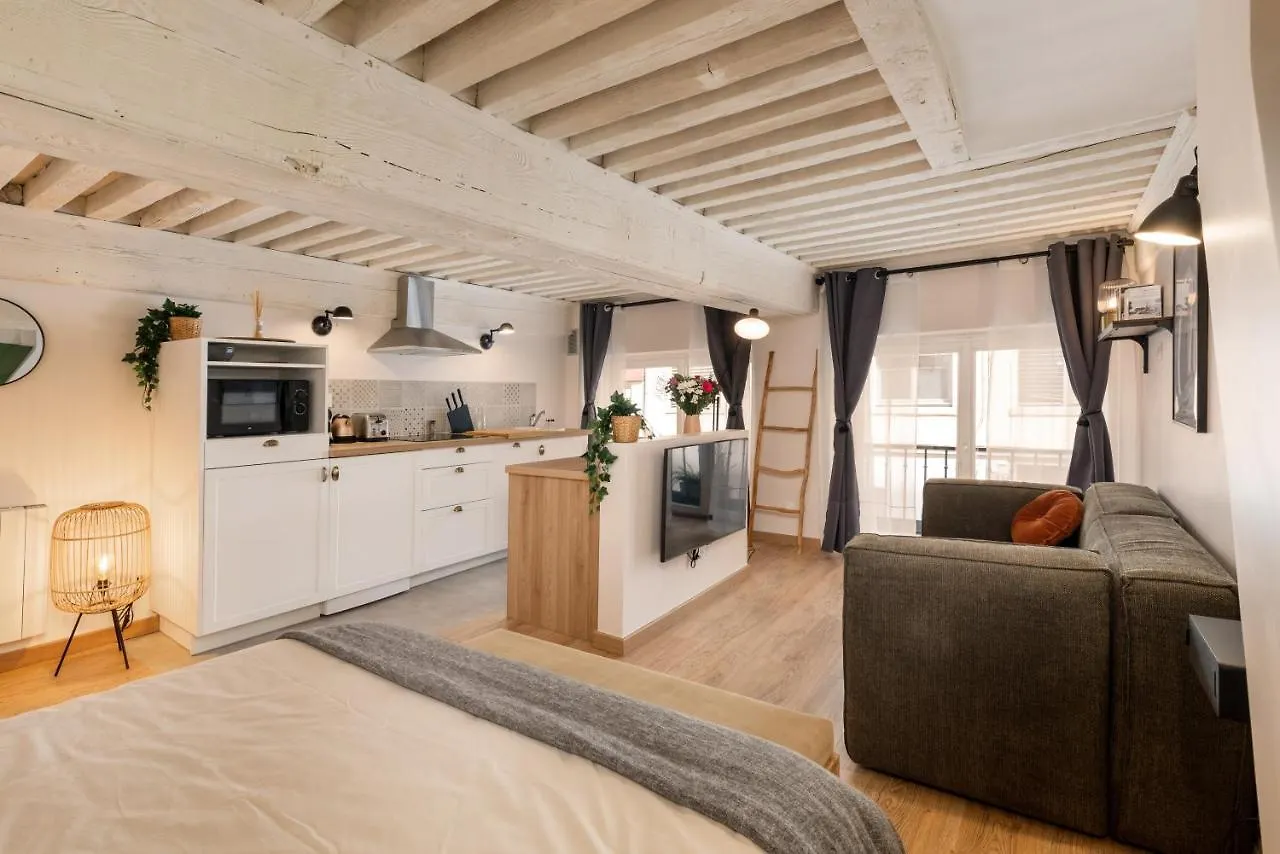 Les Cocon Des Pentes De La Soie Apartment Lyon France